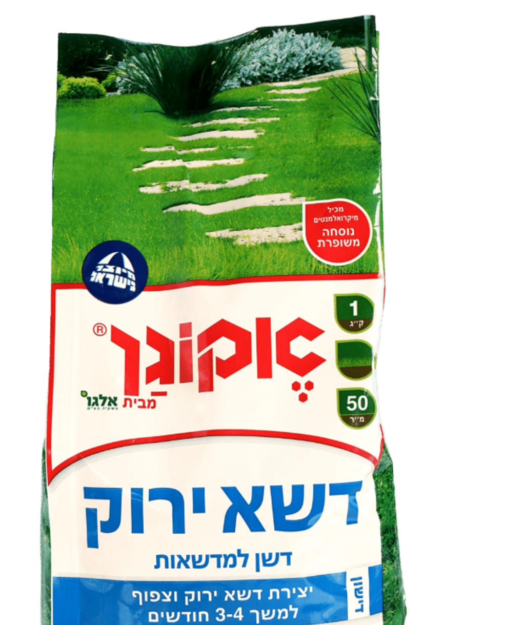 עמיר בעיר דשן לדשא